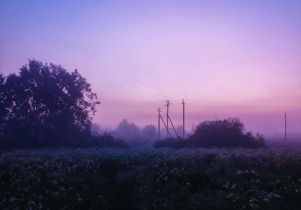 番茄影视小课堂：把句子的限定词讲明白——做一次概念归纳，限定词作什么成分