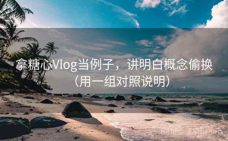拿糖心Vlog当例子，讲明白概念偷换（用一组对照说明）