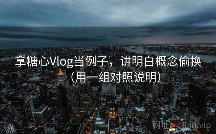 拿糖心Vlog当例子，讲明白概念偷换（用一组对照说明）